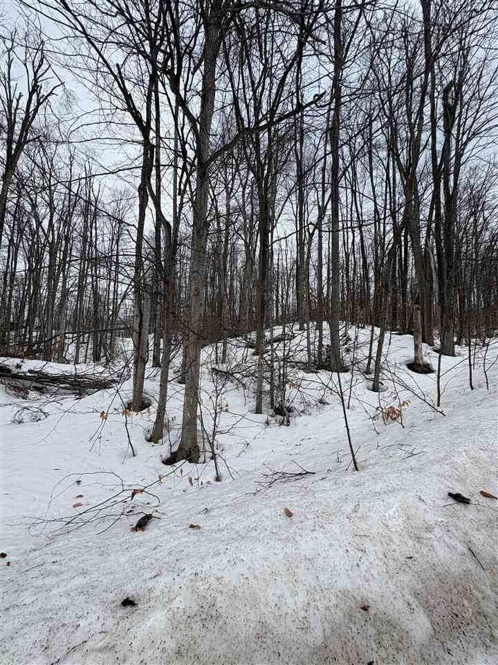 319 Beaux Rivages Drive Harbor Springs MI 49740