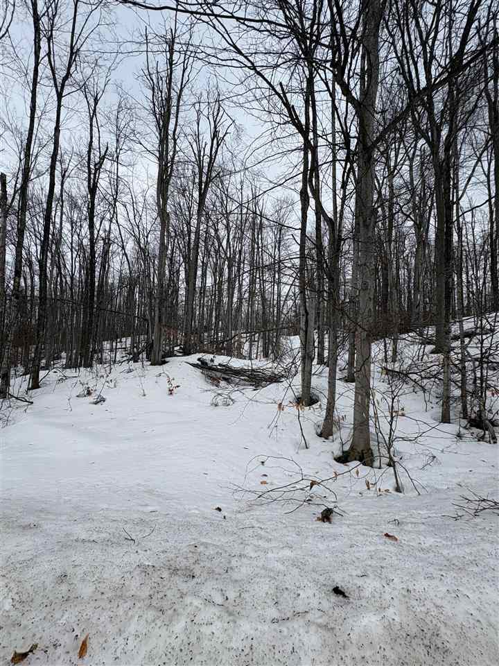 319 Beaux Rivages Drive Harbor Springs MI 49740