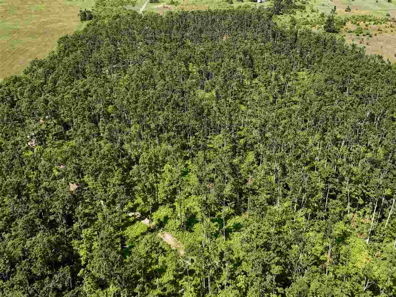 2230 Magee Road Boyne Falls MI 49713
