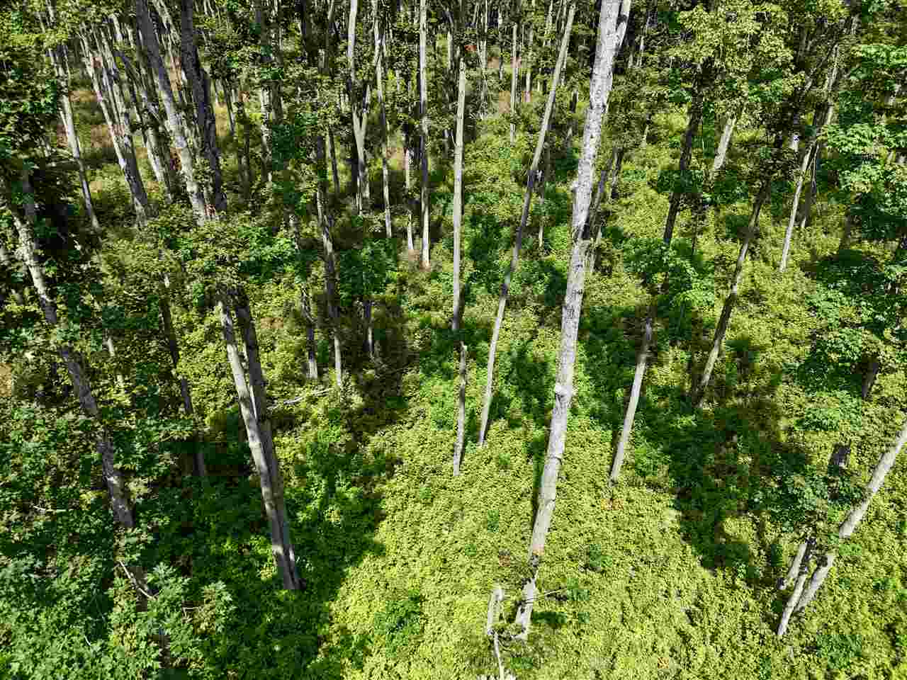 2230 Magee Road Boyne Falls MI 49713