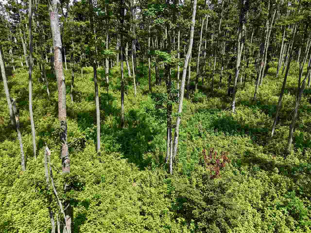 2230 Magee Road Boyne Falls MI 49713