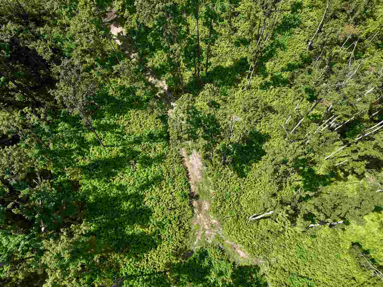 2230 Magee Road Boyne Falls MI 49713