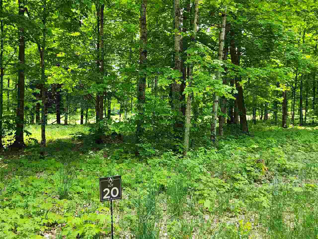 935 Aronimink Drive Harbor Springs MI 49740