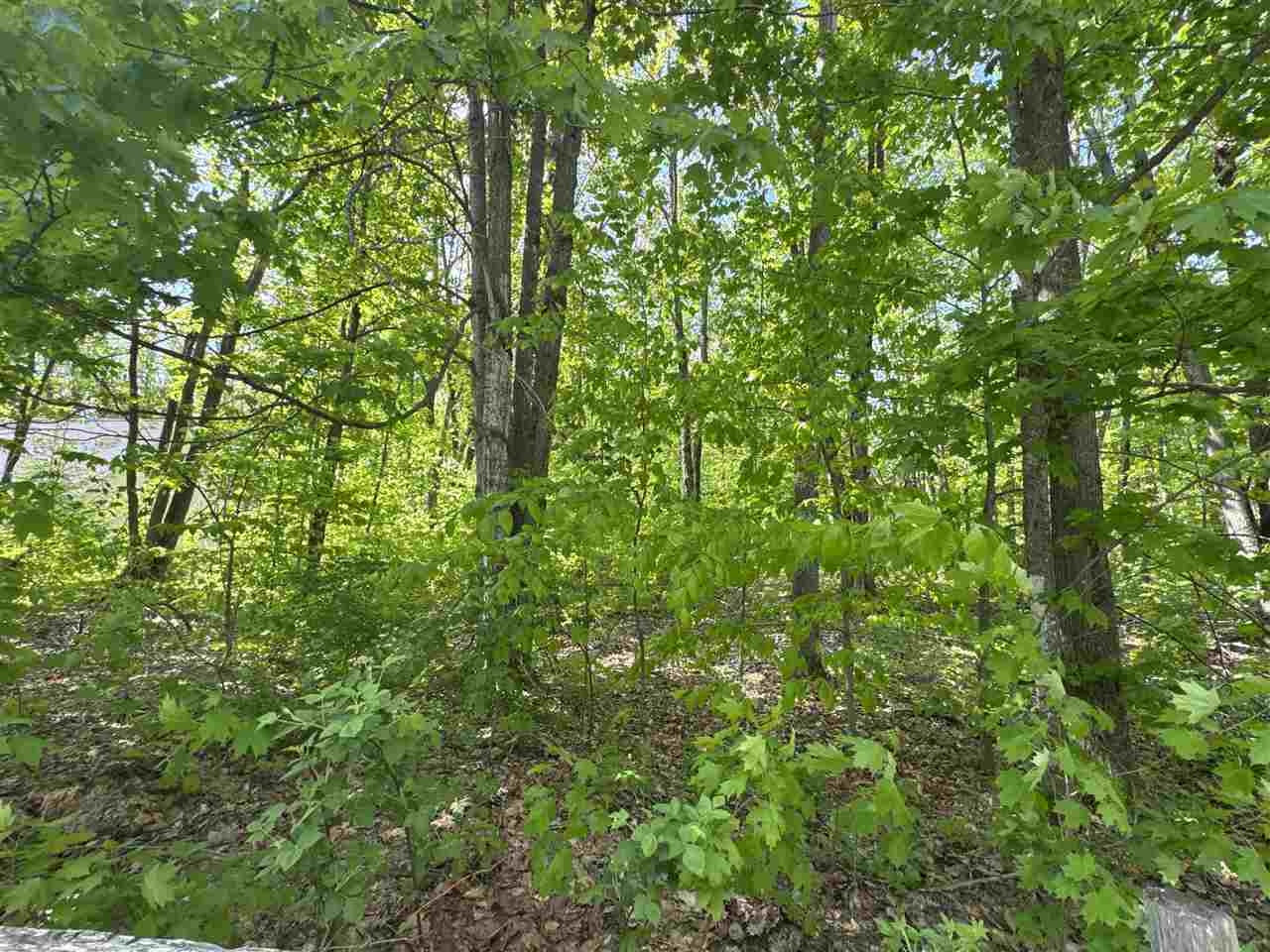 8878 Springridge Drive Petoskey MI 49770