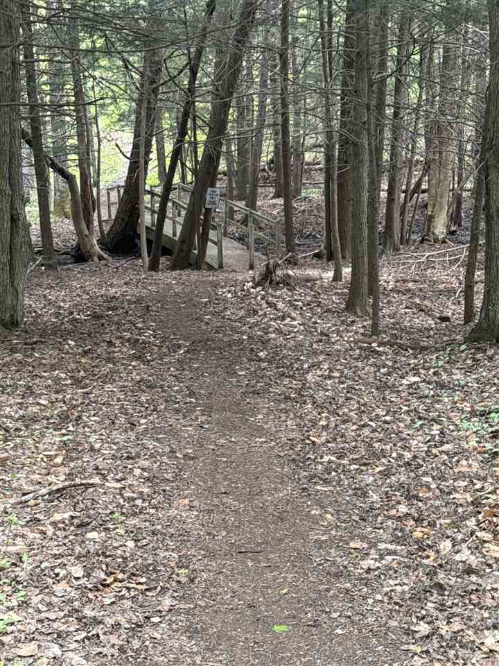 8878 Springridge Drive Petoskey MI 49770