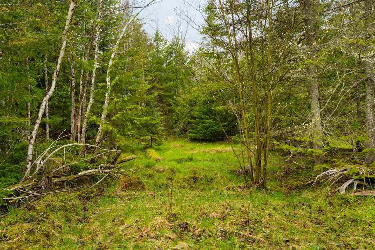 27150 South End Road Beaver Island MI 49782