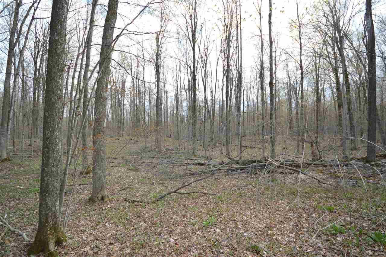 4930 S State Road Harbor Springs MI 49740