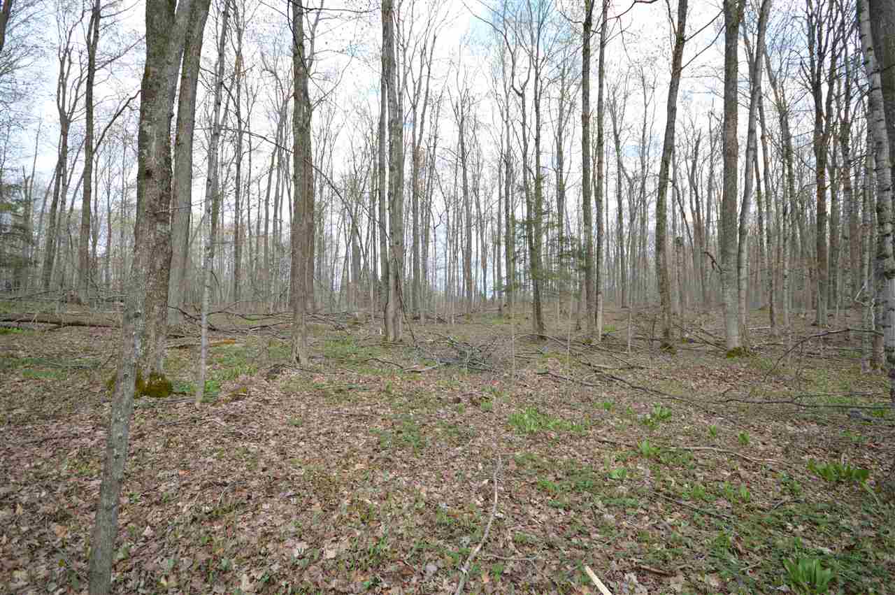 4930 S State Road Harbor Springs MI 49740