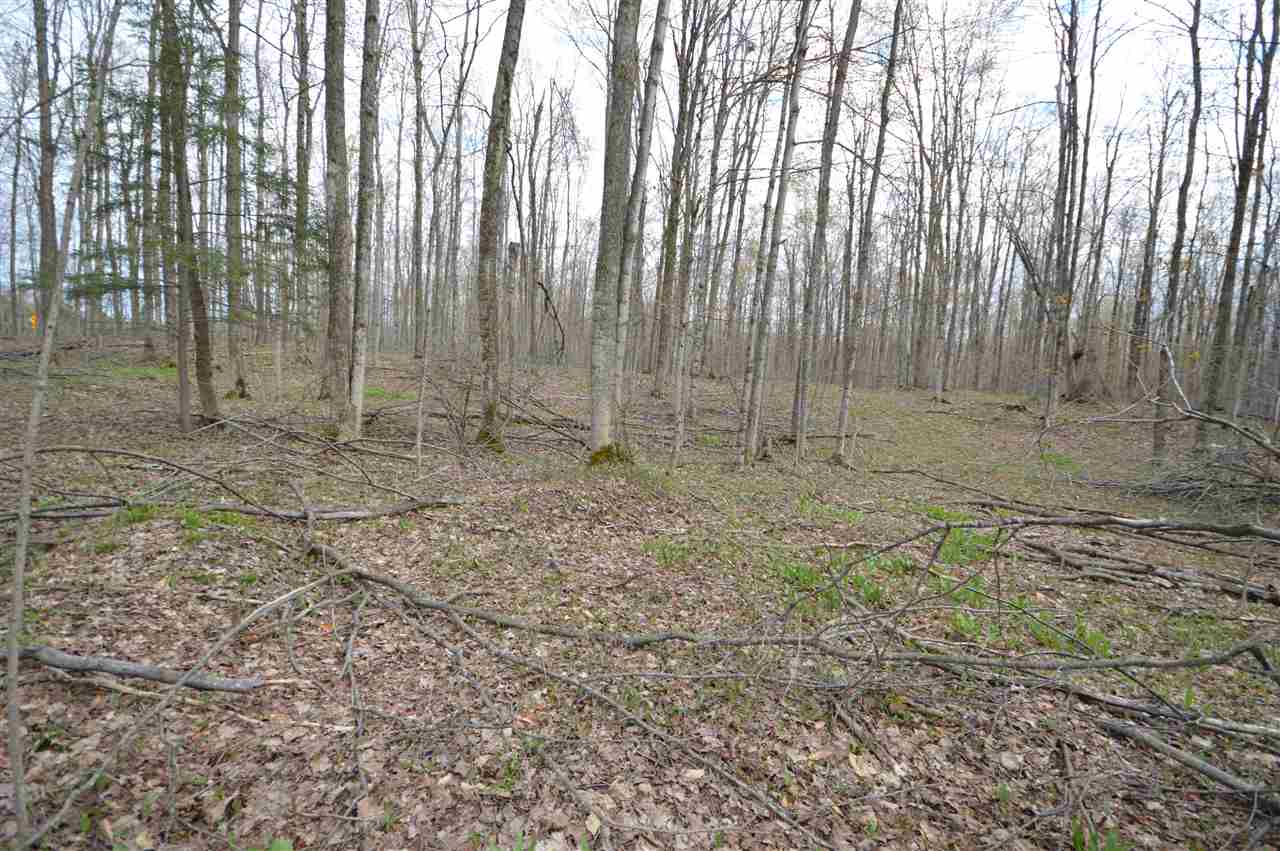 4930 S State Road Harbor Springs MI 49740
