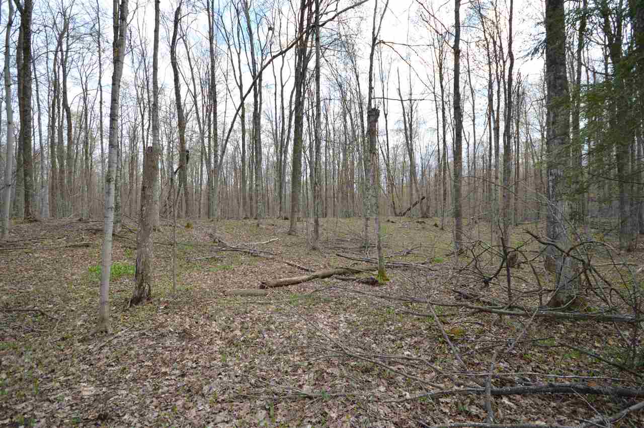 4930 S State Road Harbor Springs MI 49740