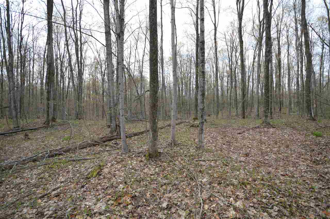 4930 S State Road Harbor Springs MI 49740