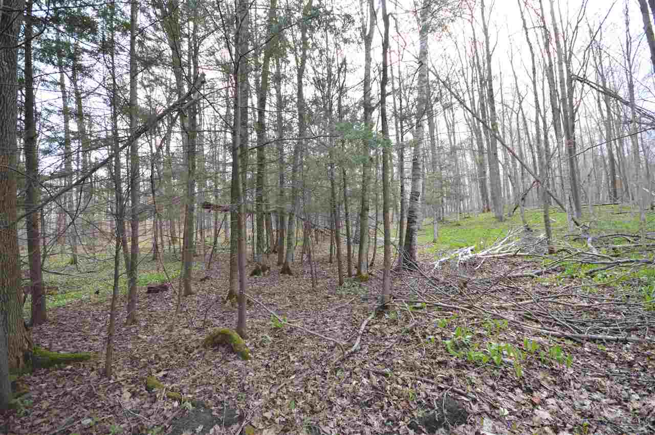 4930 S State Road Harbor Springs MI 49740