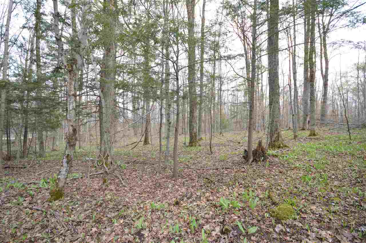 4930 S State Road Harbor Springs MI 49740