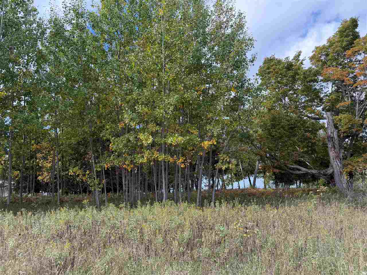 7777 Mulberry Lane Charlevoix MI 49720
