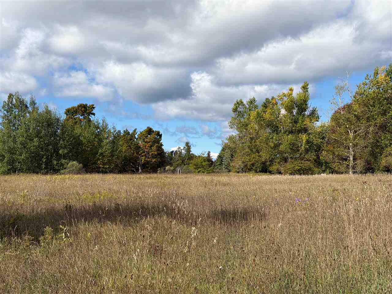 7777 Mulberry Lane Charlevoix MI 49720