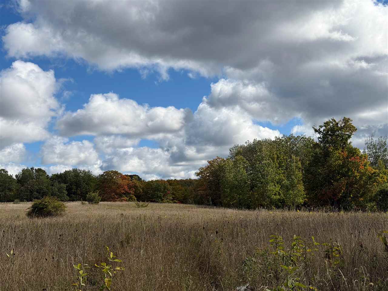 7777 Mulberry Lane Charlevoix MI 49720