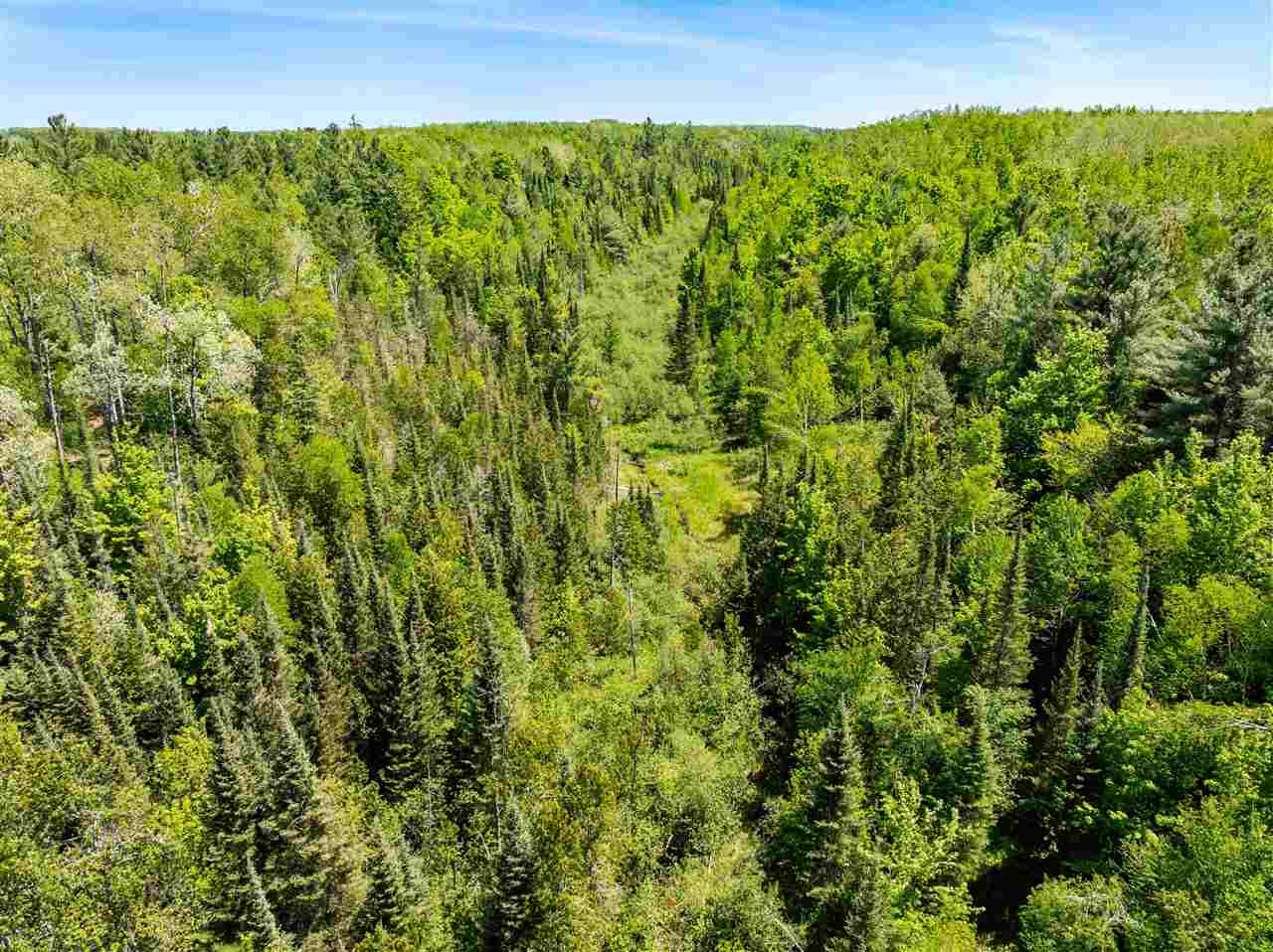 Tbd Brosseau Road Afton MI 49705