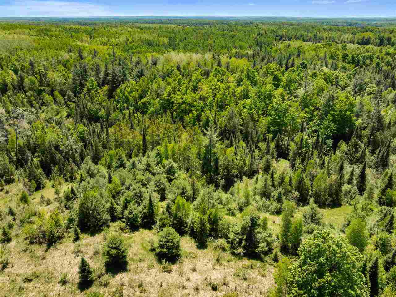 Tbd Brosseau Road Afton MI 49705