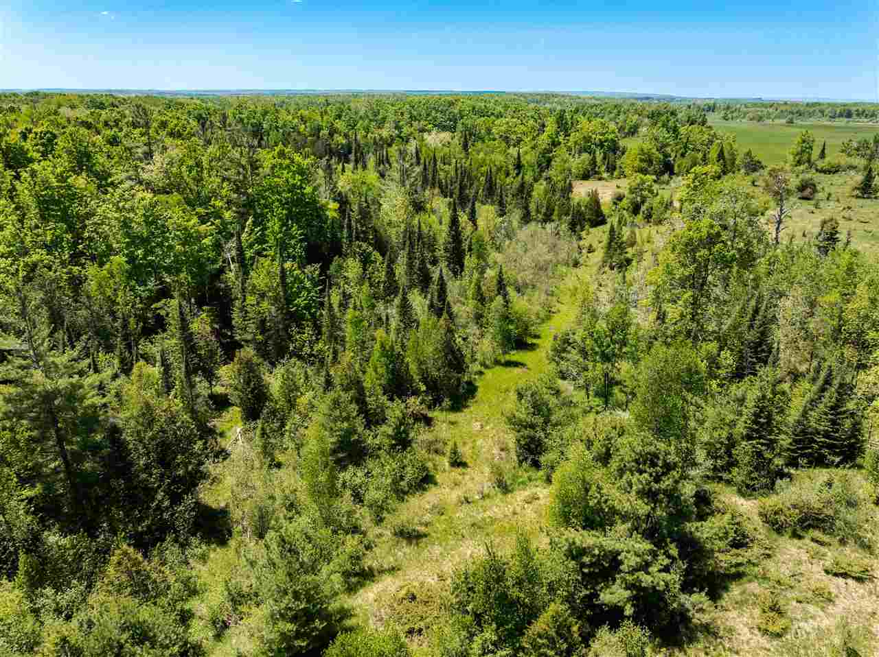 Tbd Brosseau Road Afton MI 49705