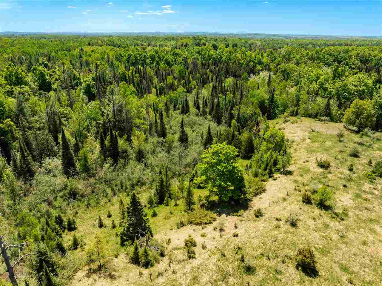Tbd Brosseau Road Afton MI 49705