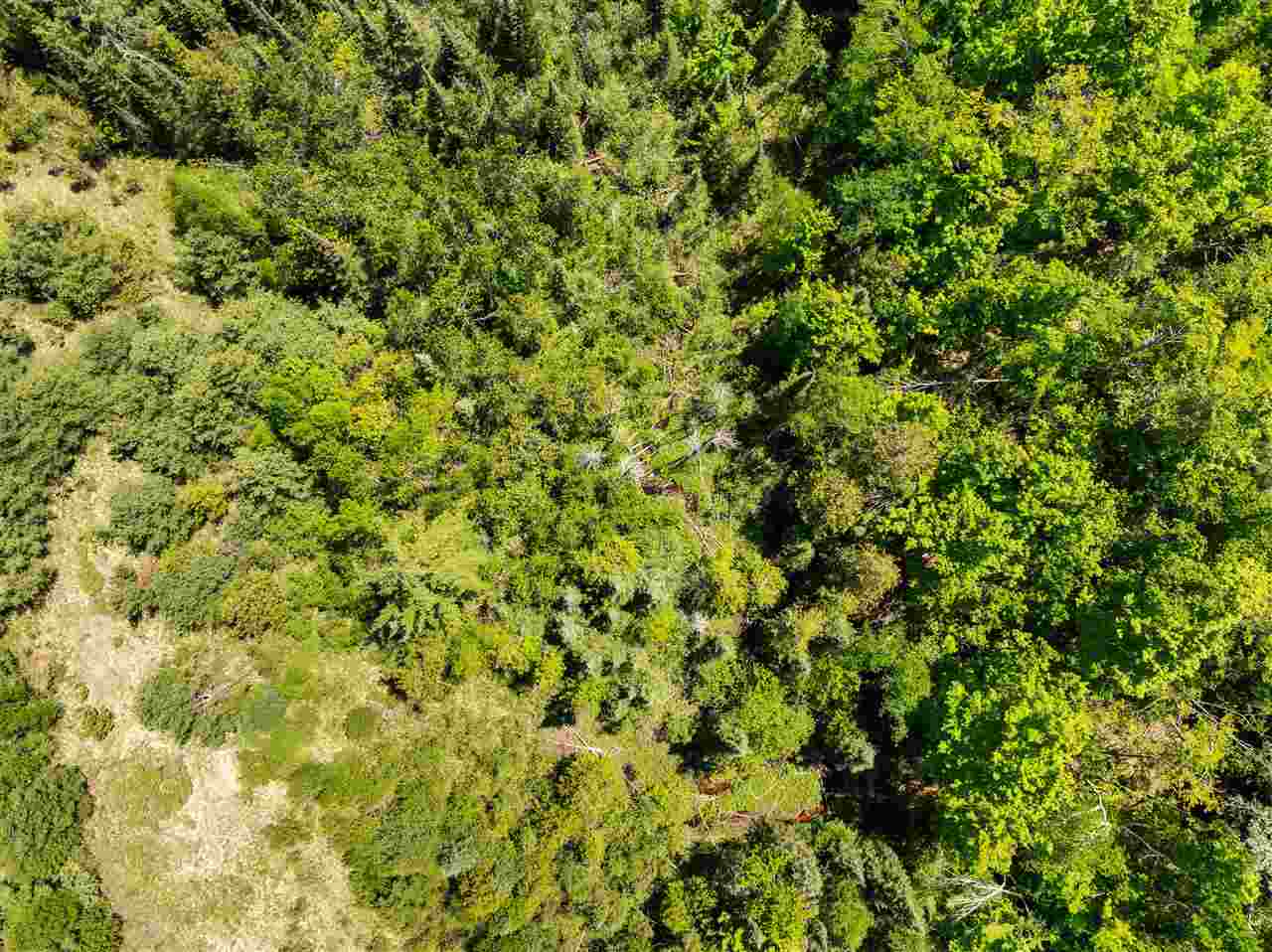 Tbd Brosseau Road Afton MI 49705