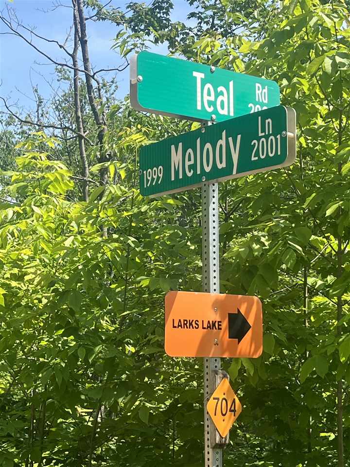 Tbd Teal Road Pellston MI 49769