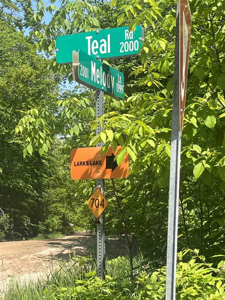 Tbd Teal Road Pellston MI 49769