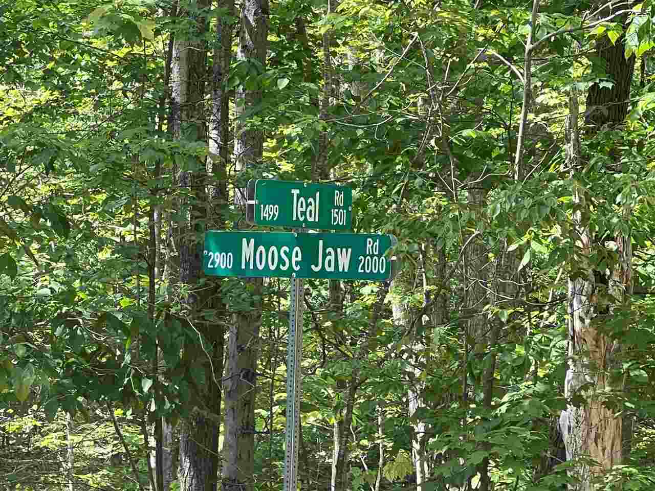 Tbd Teal Road Pellston MI 49769