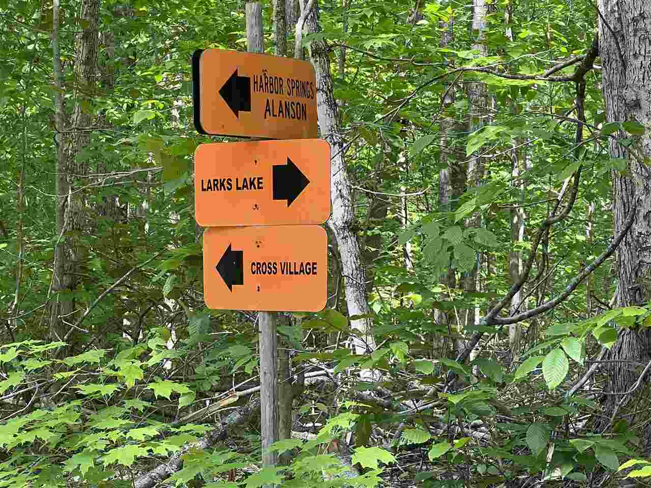 Tbd Teal Road Pellston MI 49769