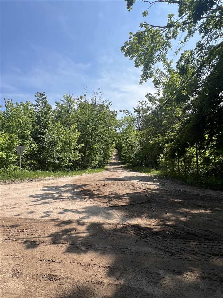 Tbd Teal Road Pellston MI 49769