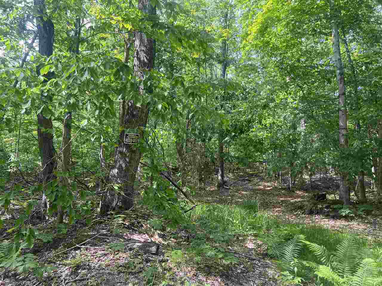 Tbd Teal Road Pellston MI 49769