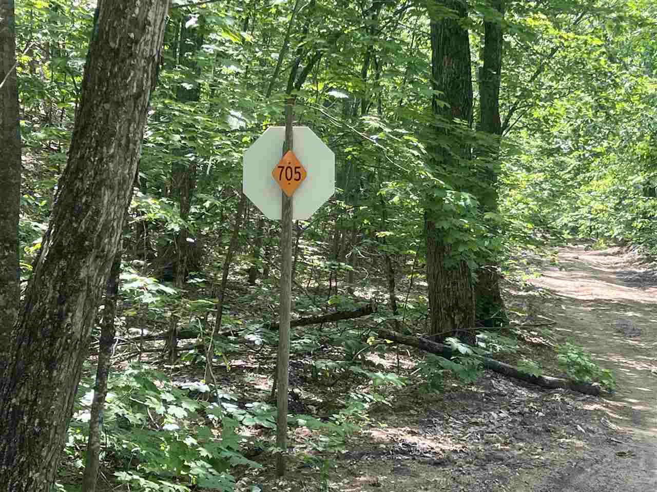 Tbd Teal Road Pellston MI 49769