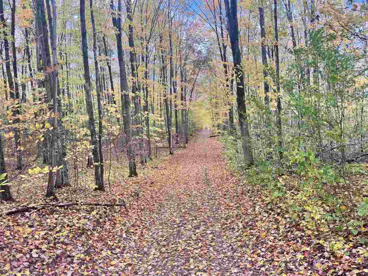 Tbd Stark Road Mancelona MI 49659