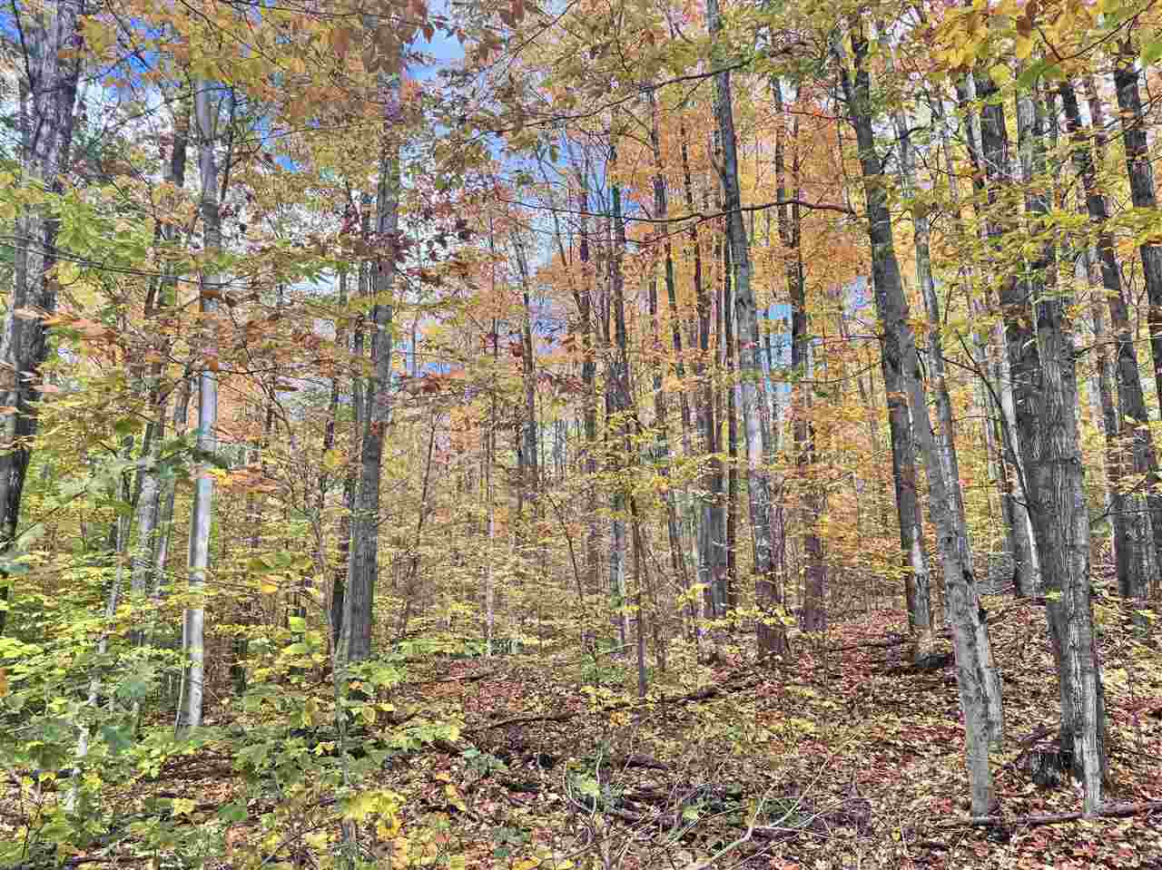 Tbd Stark Road Mancelona MI 49659