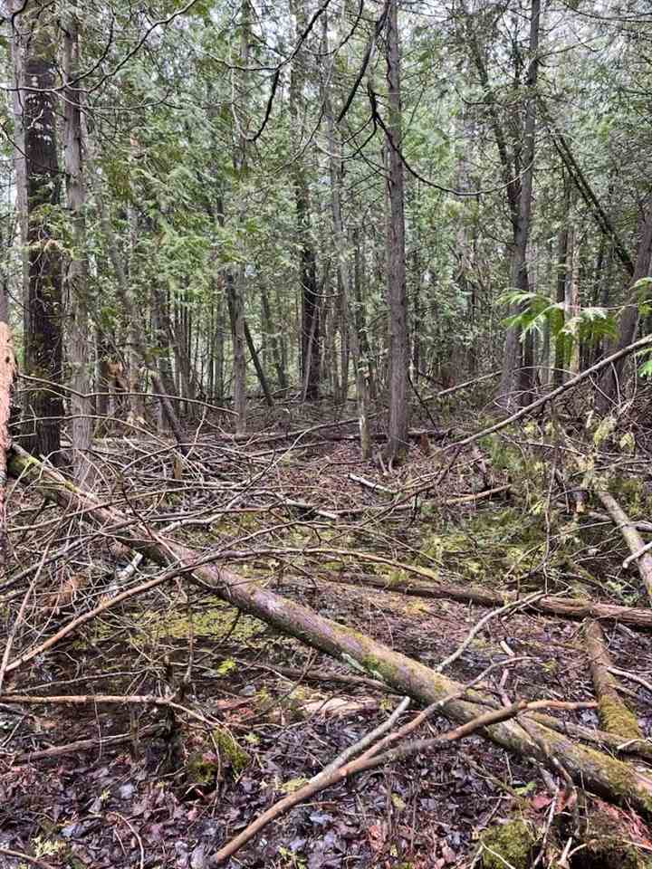 Us 23 Highway Cheboygan MI 49721