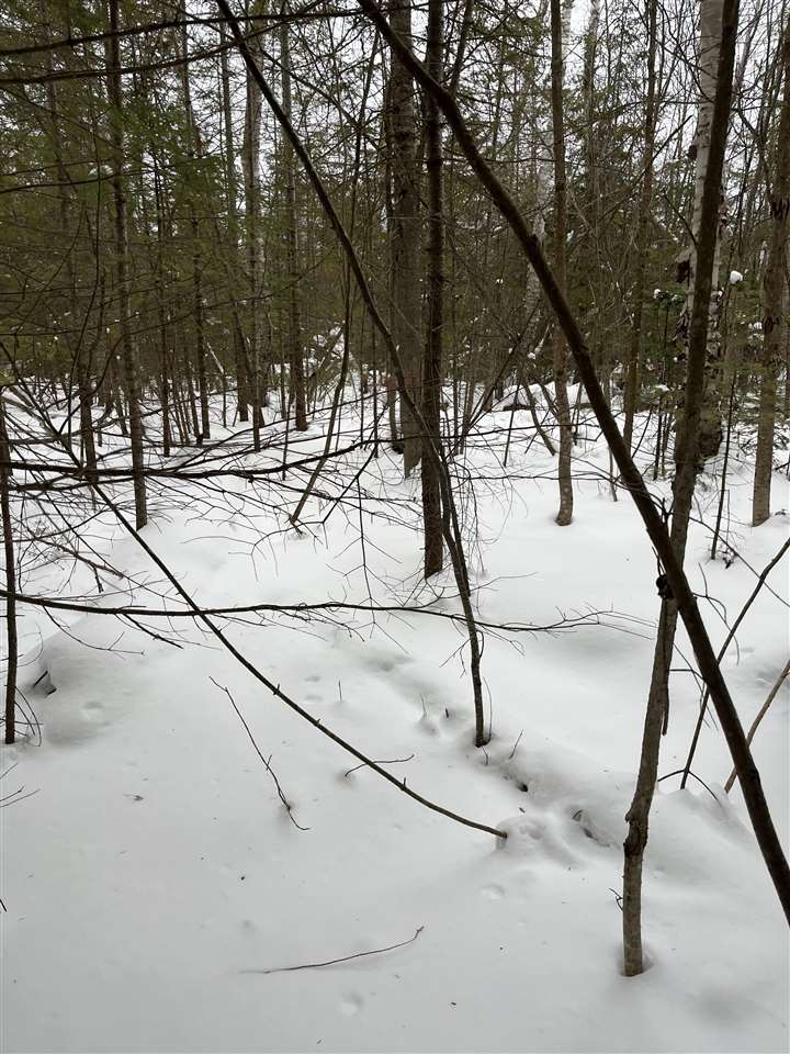 Us 23 Highway Cheboygan MI 49721