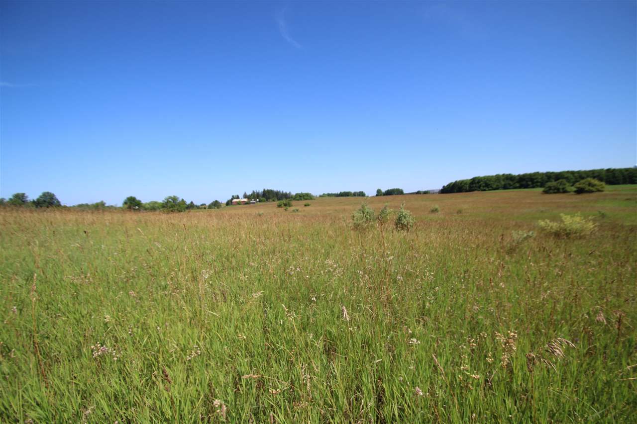 1751 Farm View Lane Petoskey MI 49770