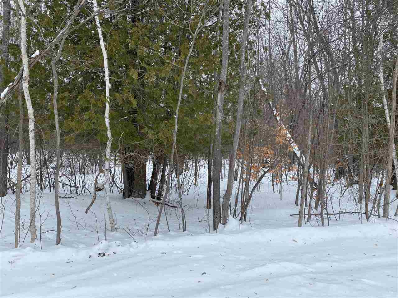 Parcel A Silver Strand Road Levering MI 49755