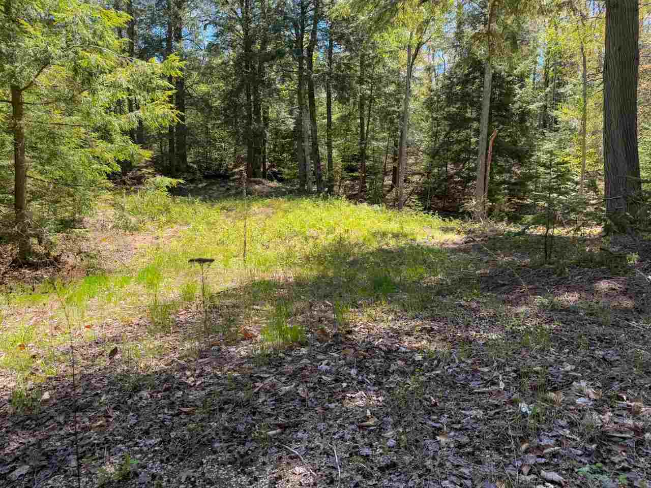Lot 912 Rolling Hills Court Beaver Island MI 49782