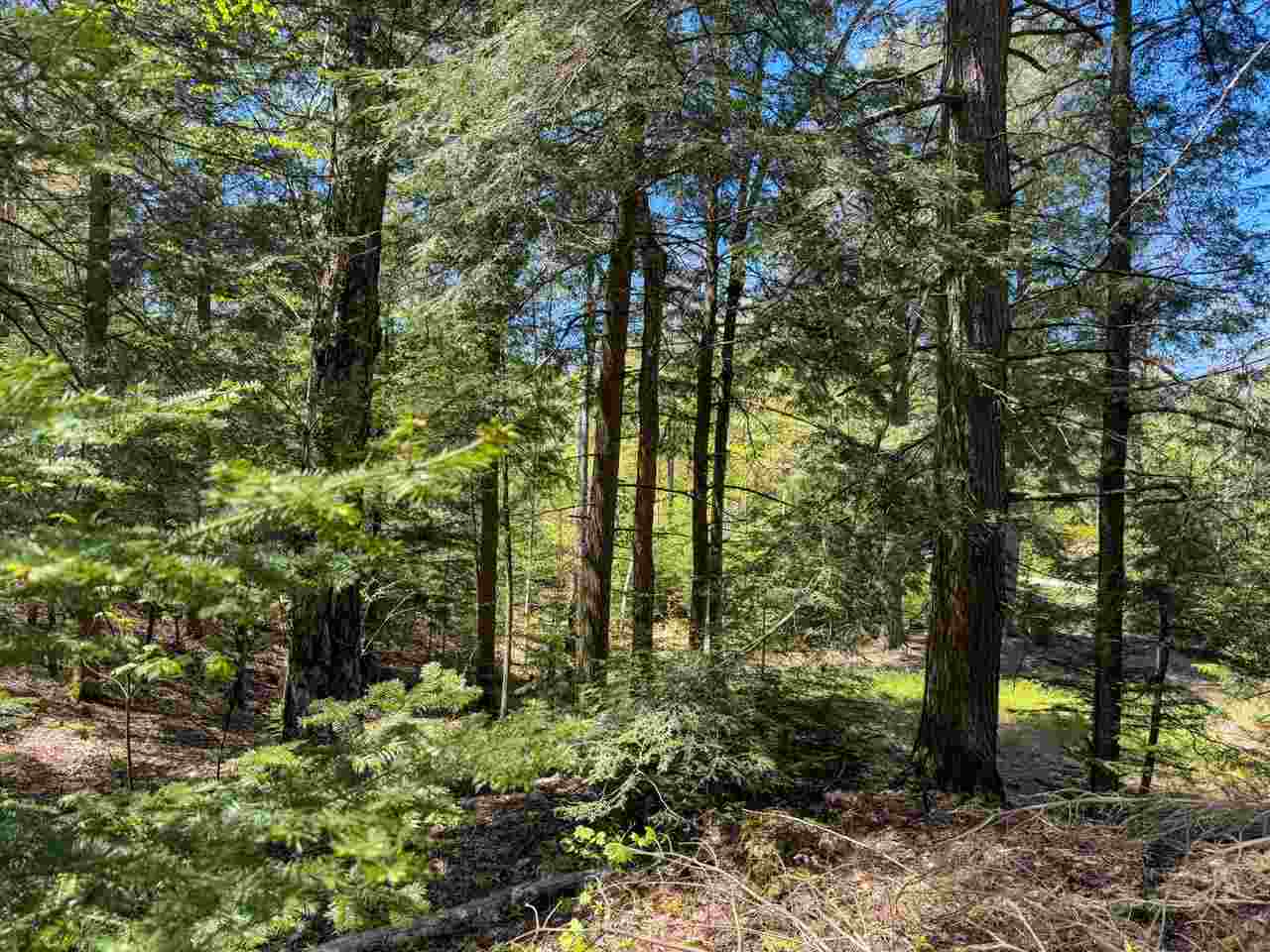 Lot 912 Rolling Hills Court Beaver Island MI 49782