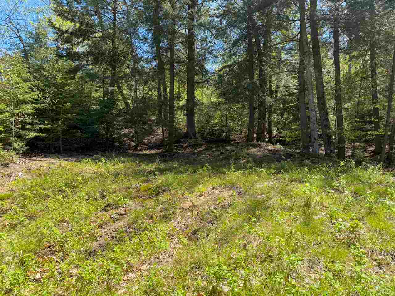 Lot 912 Rolling Hills Court Beaver Island MI 49782