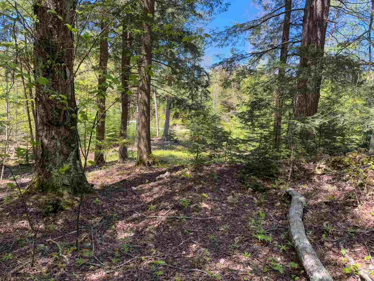 Lot 912 Rolling Hills Court Beaver Island MI 49782