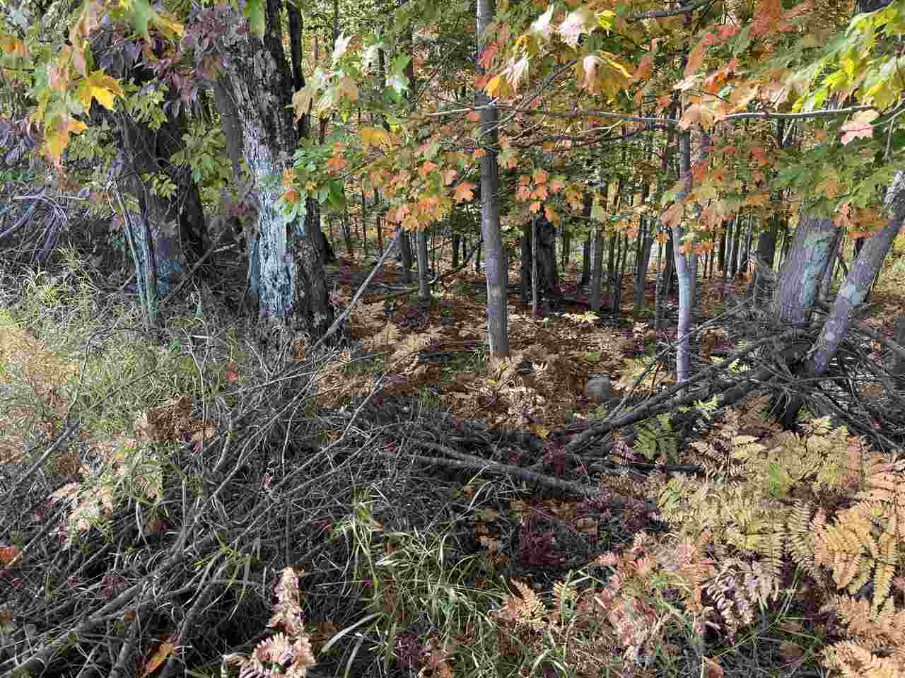 C-2 Spingwood Road Charlevoix MI 49720-0000