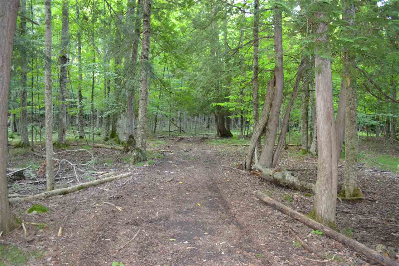 2217 Kidder Road East Jordan MI 49727