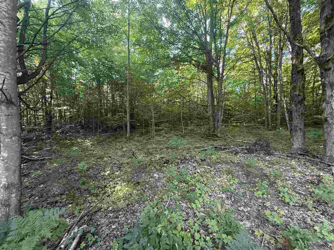 Lots 285 & 286 Acacia Drive Mancelona MI 49659