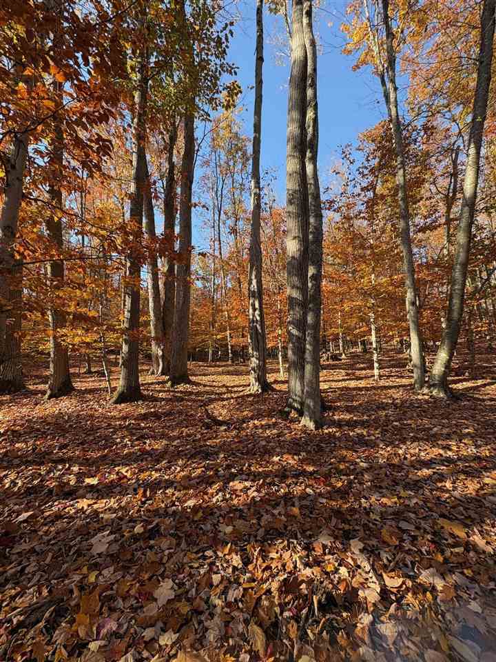 1735 Timber Pass Harbor Springs MI 49740