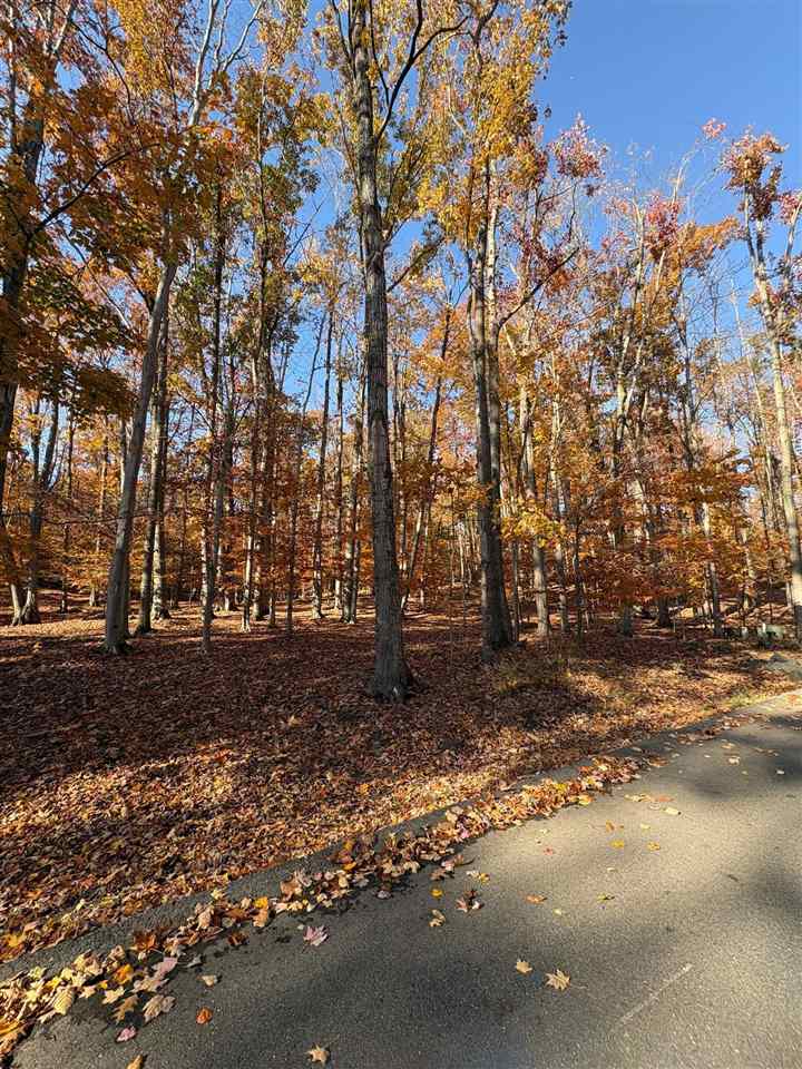 1735 Timber Pass Harbor Springs MI 49740