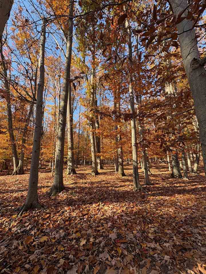 1735 Timber Pass Harbor Springs MI 49740