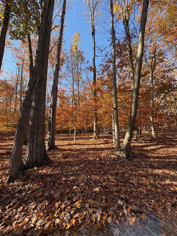 1735 Timber Pass Harbor Springs MI 49740