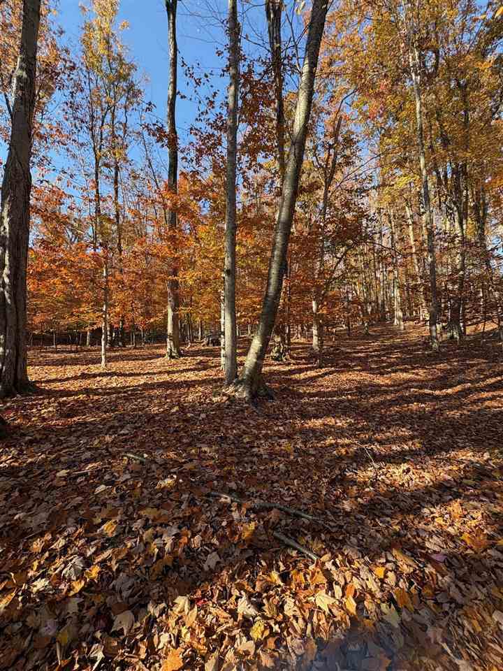 1735 Timber Pass Harbor Springs MI 49740